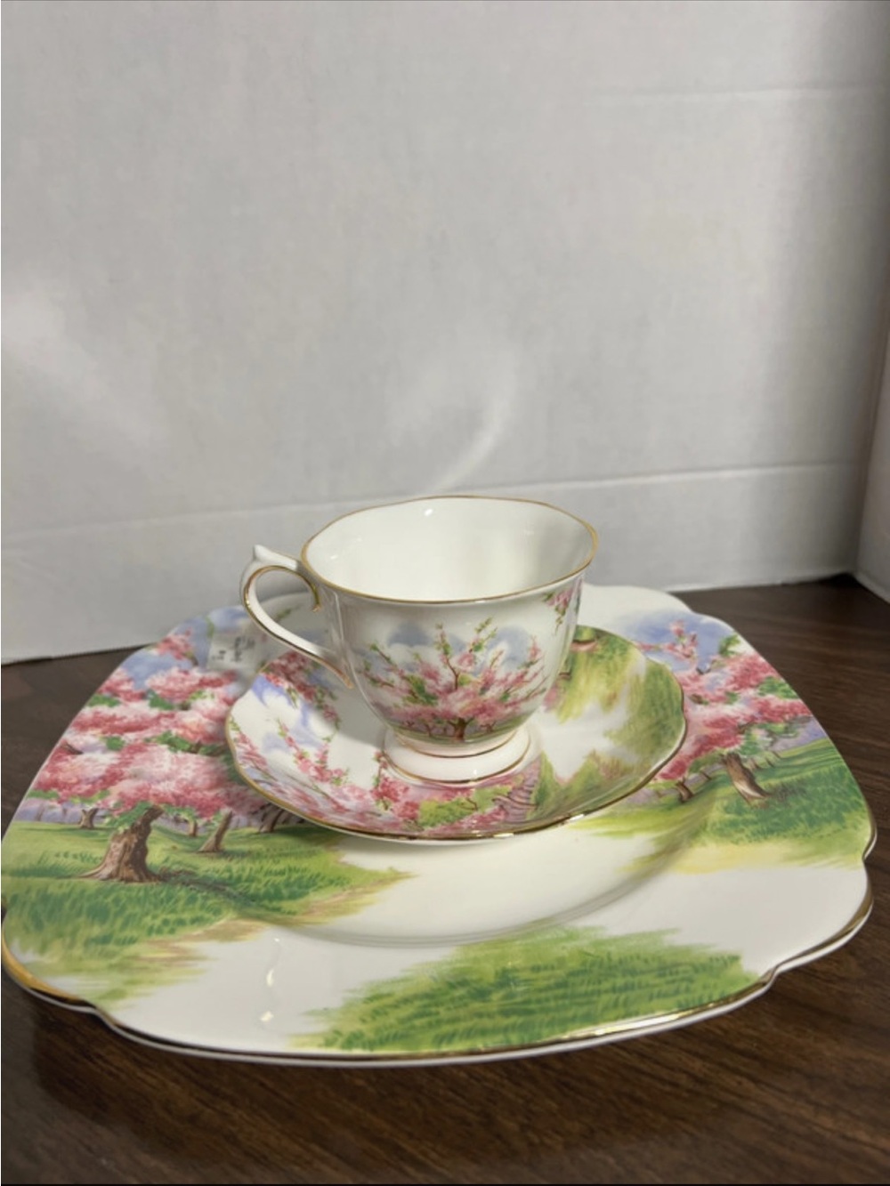 Royal Albert tea cup , saucer and plate set . Blossom time